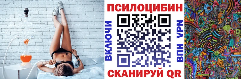 купить закладку  Динская  Псилоцибиновые грибы Psilocybine cubensis 